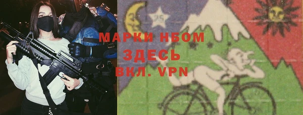 прущие грибы Магас