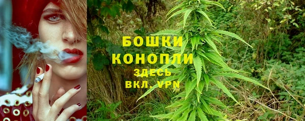 прущая мука Мегион