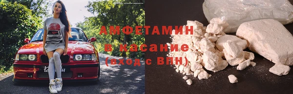 прущие грибы Магас